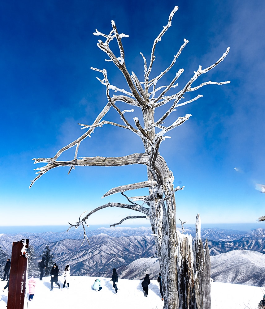 가족 겨울 산행 추천, 덕유산 케이블카를 타고 덕유산 향적봉을 다녀오다. 26