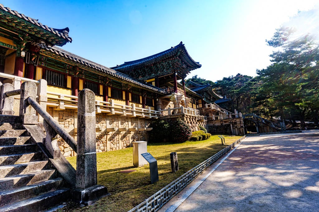 불국사의 봄, 불국사 목련 출사기 145