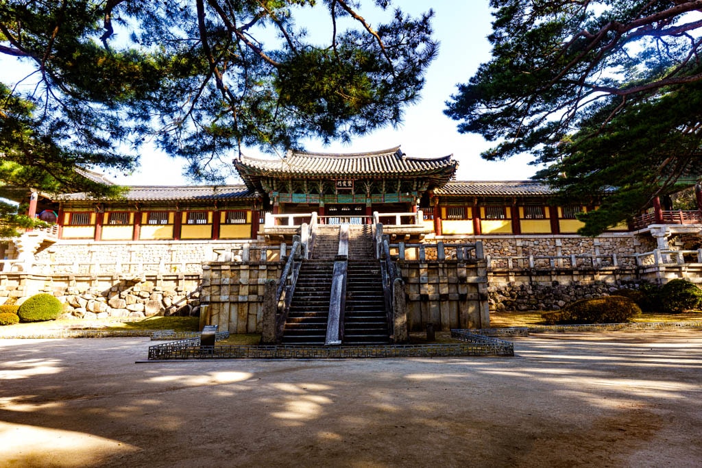 불국사의 봄, 불국사 목련 출사기 141