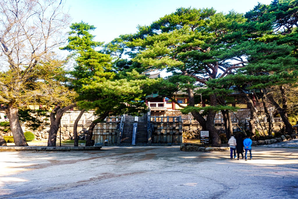 불국사의 봄, 불국사 목련 출사기 142