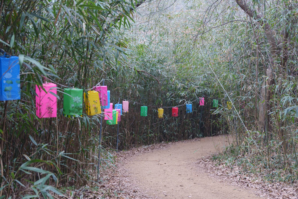 2025년 탐매여행 세번째, 구례 화엄사 화엄매 출사기 117