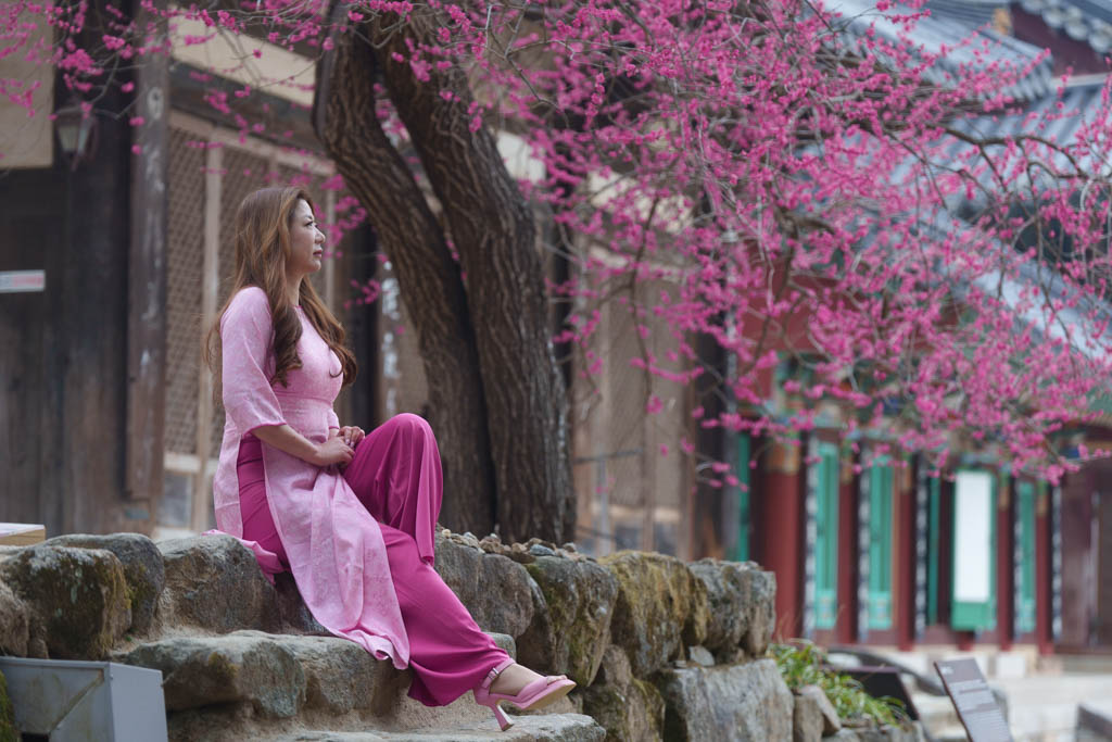 2025년 탐매여행 세번째, 구례 화엄사 화엄매 출사기 115