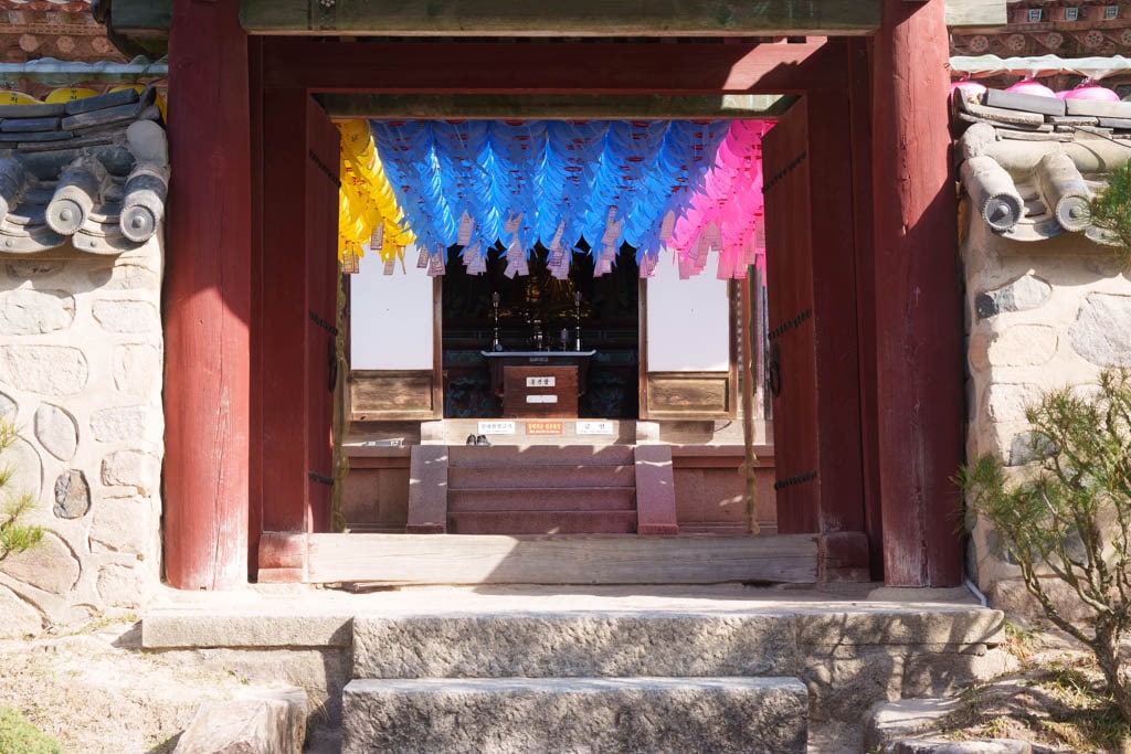 불국사의 봄, 불국사 목련 출사기 163