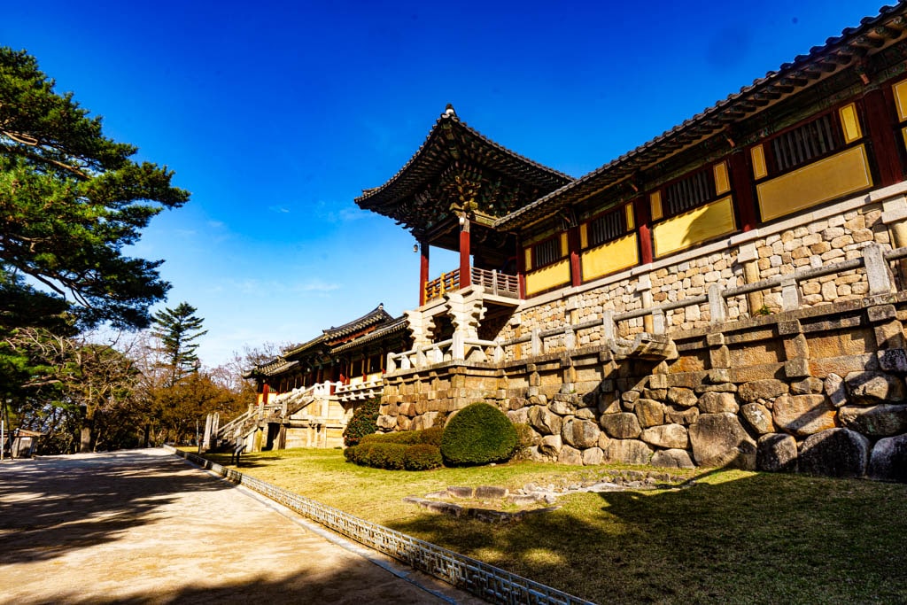 불국사의 봄, 불국사 목련 출사기 144