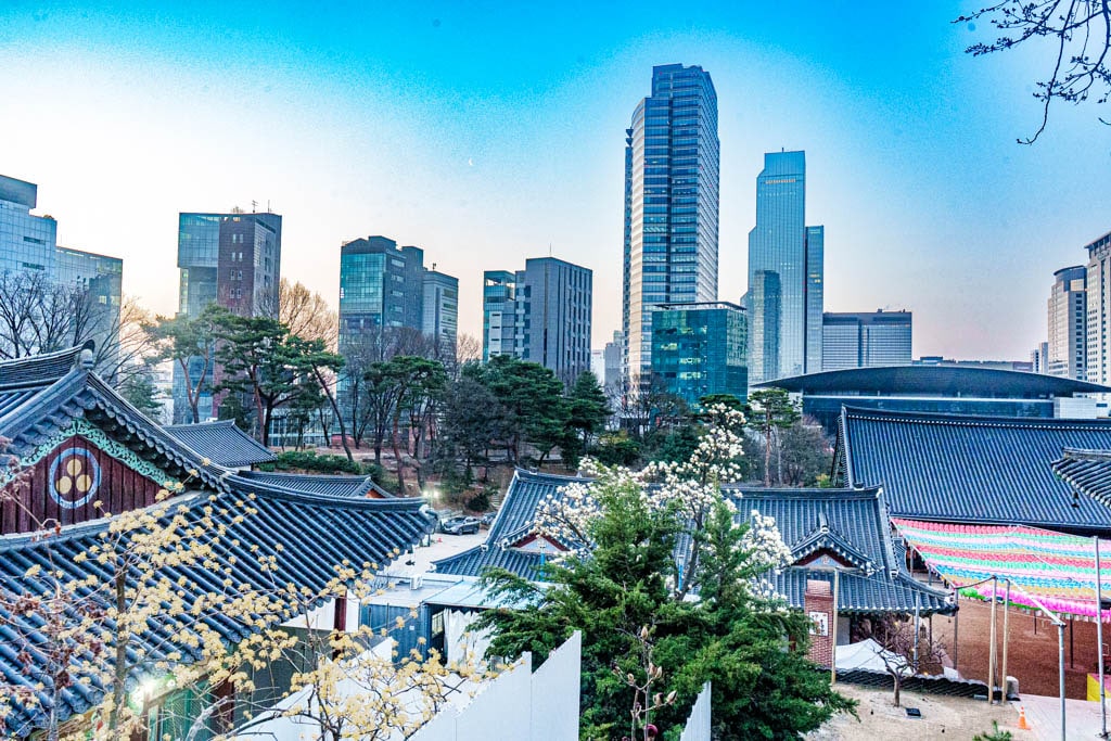 2025년 탐매여행 두번째, 새벽에 달려가 만난 서울 봉은사 매화 출사기 184