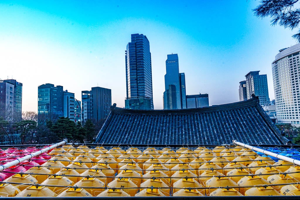 2025년 탐매여행 두번째, 새벽에 달려가 만난 서울 봉은사 매화 출사기 182