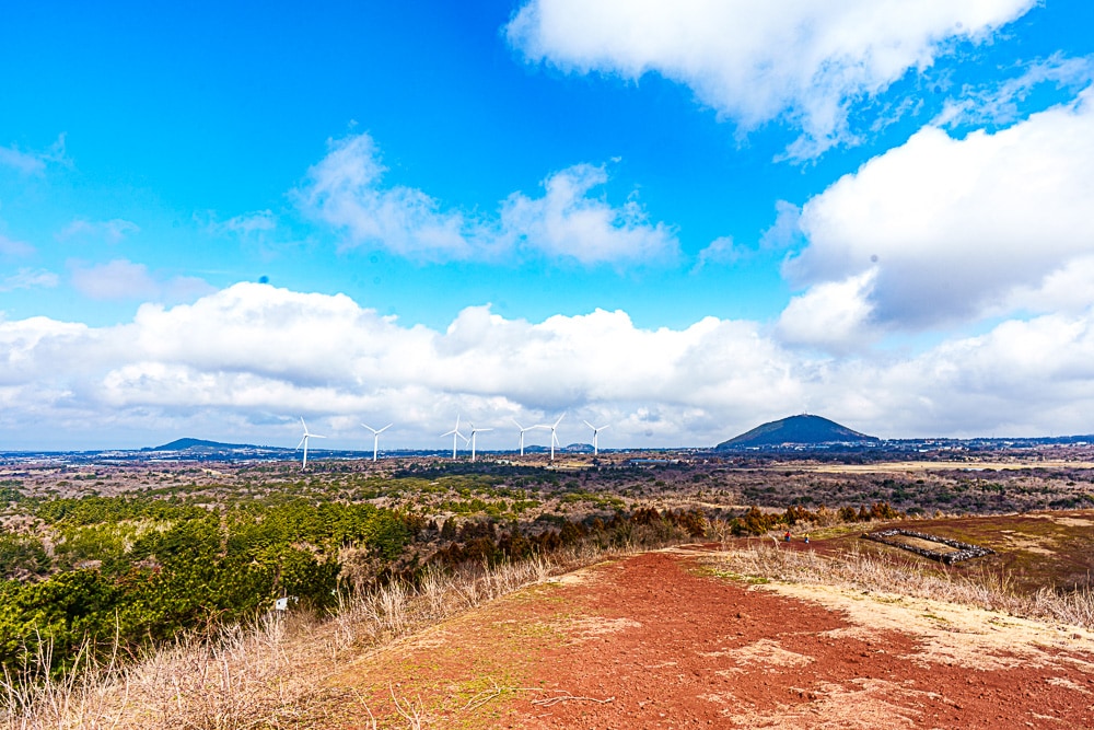 제주 말 보기 좋은 곳, 제주 말 사진 출사지 24