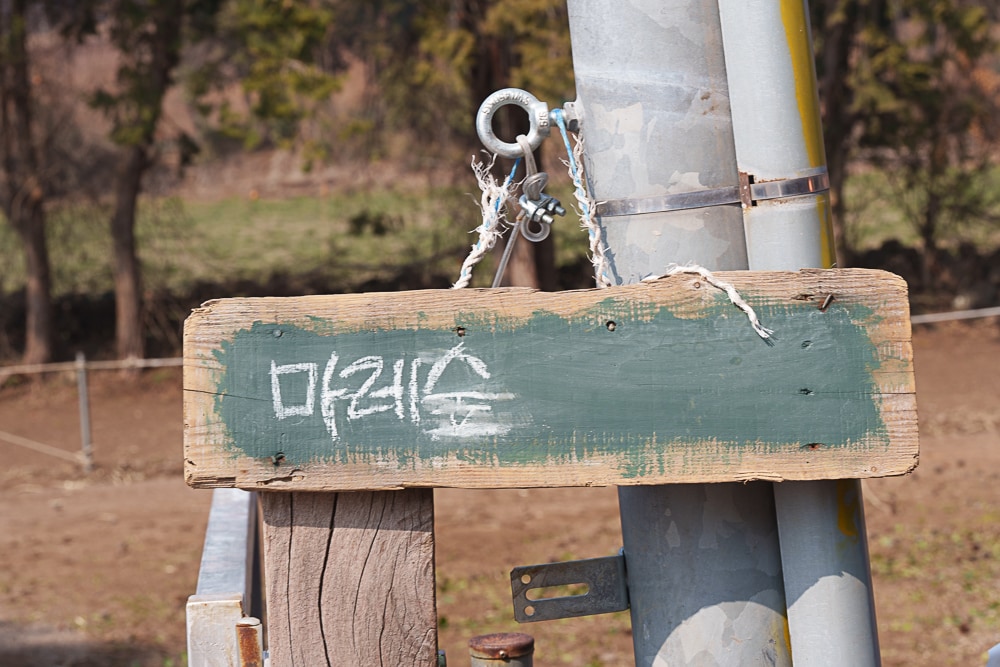 곶자왈 말보호센터 마레숲DSC02932 Photo by Happist