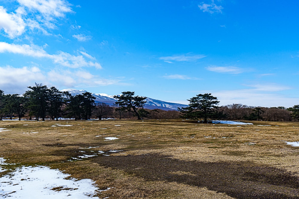제주 말 보기 좋은 곳, 제주 말 사진 출사지 9