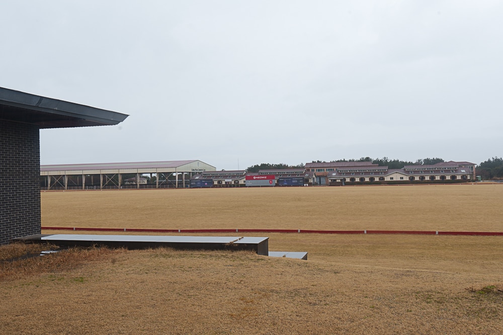제주 말 보기 좋은 곳, 제주 말 사진 출사지 5