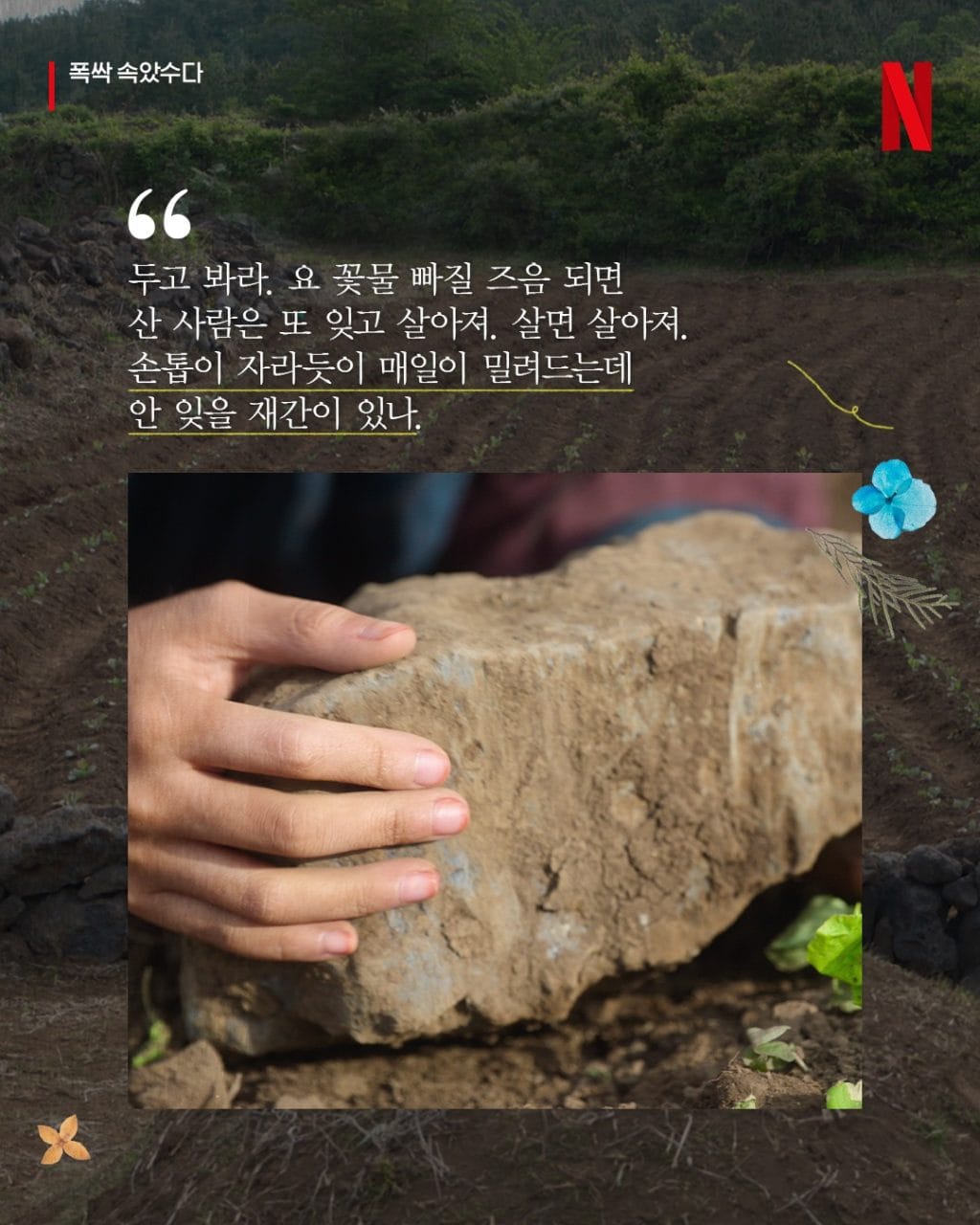 네플릭스 드라마 폭삭 속았수다 명대사 189