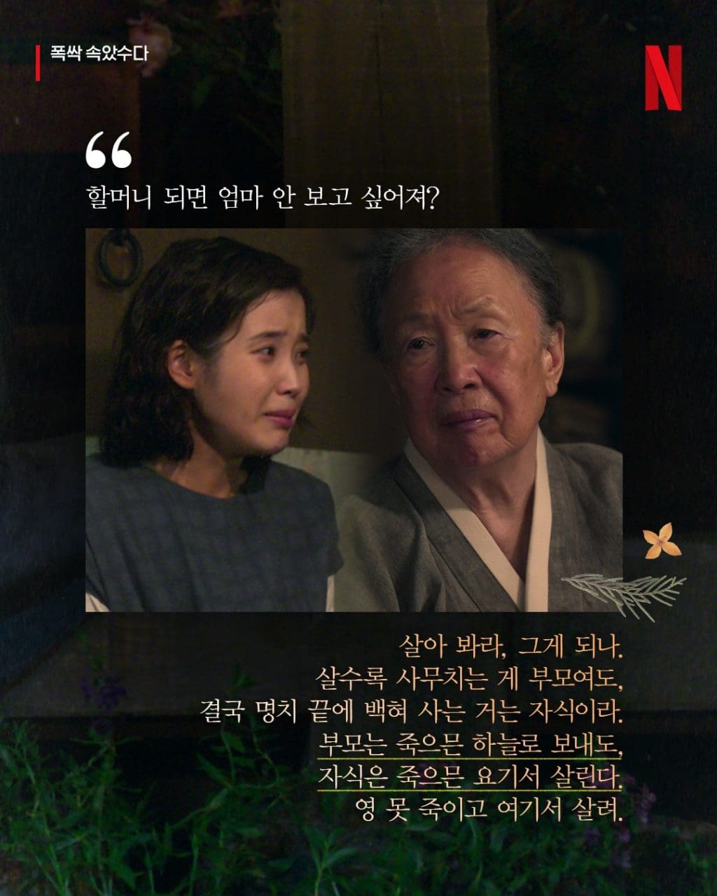 네플릭스 드라마 폭삭 속았수다 명대사 194