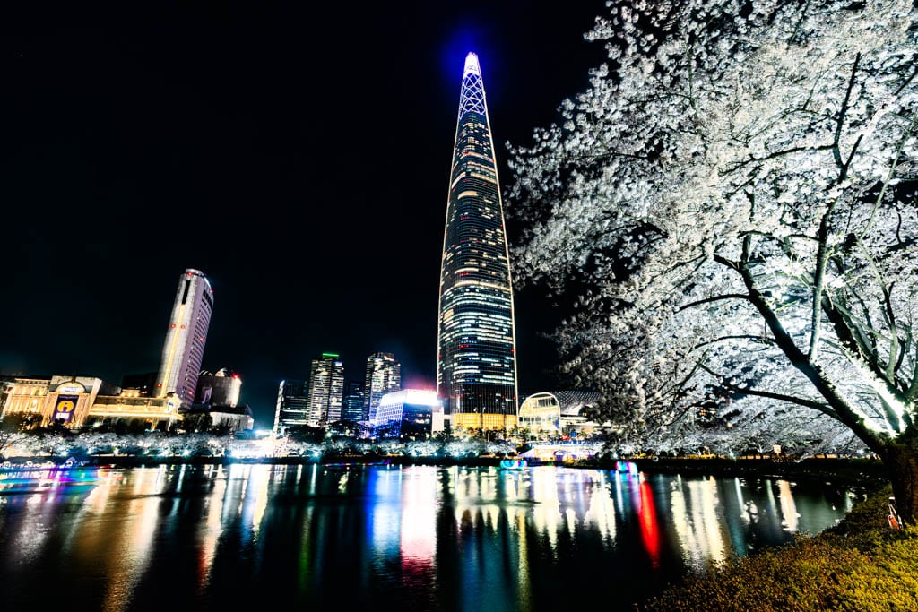 서울 벚꽃 명소, 서울 석촌호수 벚꽃 풍경을 담아보다 41 서울 벚꽃 명소, 서울 석촌호수 벚꽃 풍경을 담아보다 36