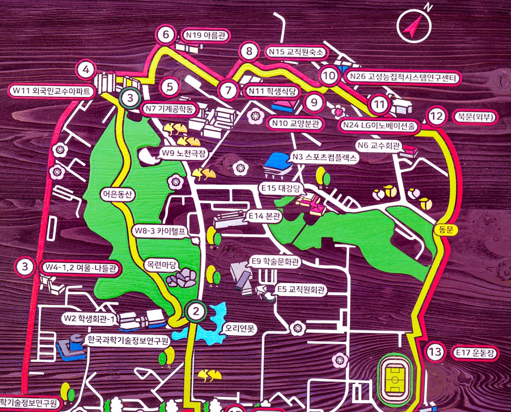 대전 벚꽃 명소 카이스트 벚꽃 출사기 24