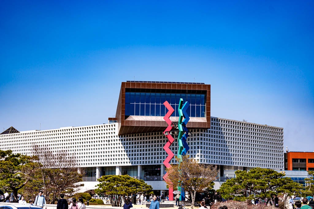 대전 벚꽃 명소 카이스트 벚꽃 출사기 26