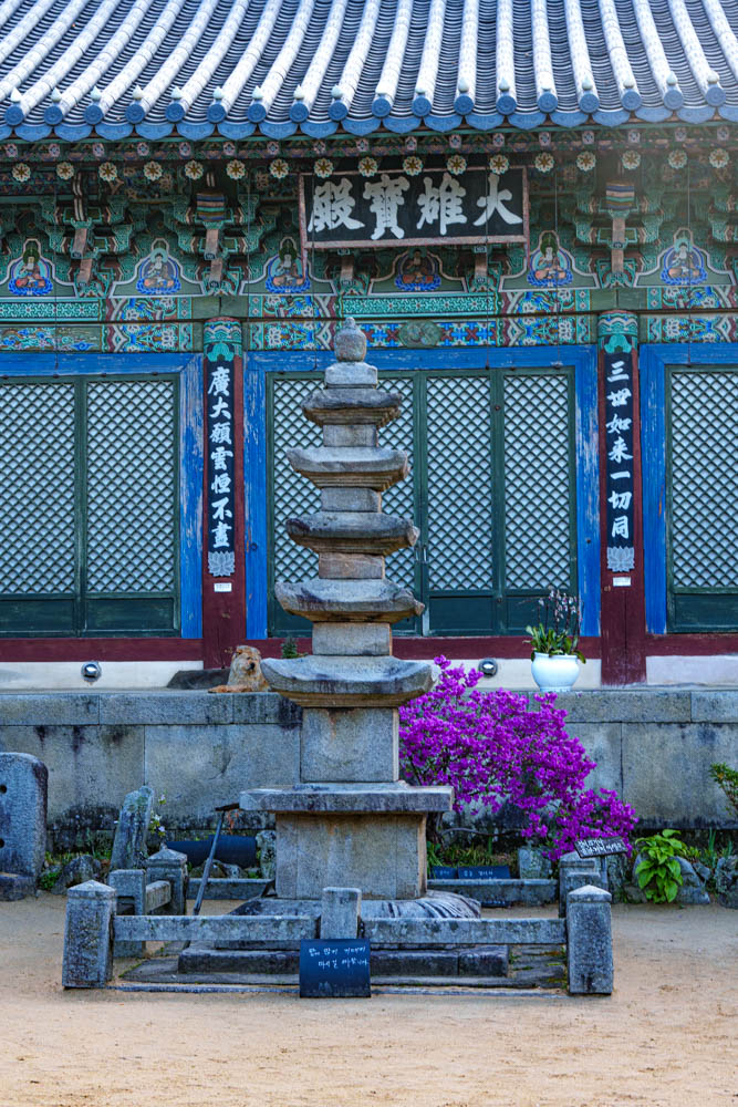 겹벚꽃 명소 서산 개심사 겹벚꽃 출사기 45