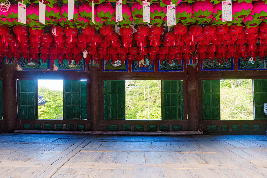 겹벚꽃 명소 서산 개심사 겹벚꽃 출사기 46