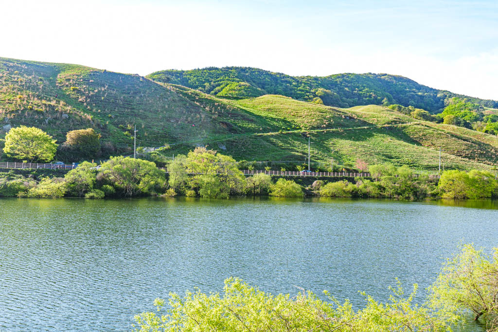 겹벚꽃 명소 서산 개심사 겹벚꽃 출사기 55