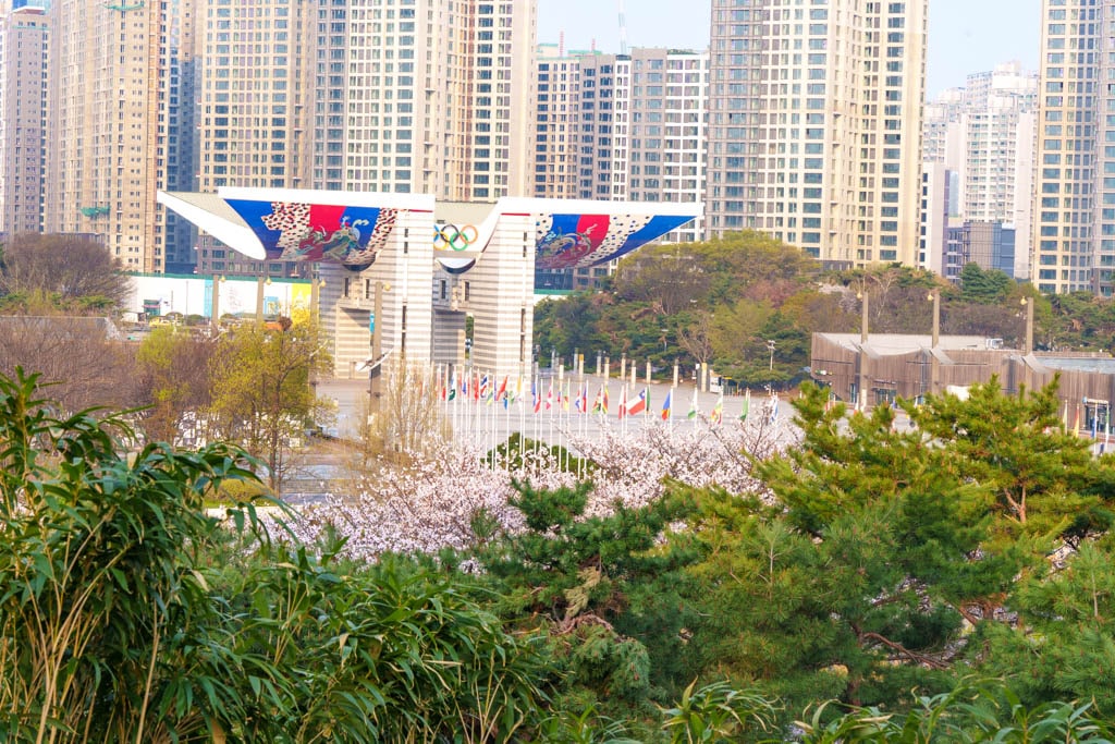 서울 올림픽공원 벚꽃을 보다 10 서울 올림픽공원 벚꽃을 보다 7