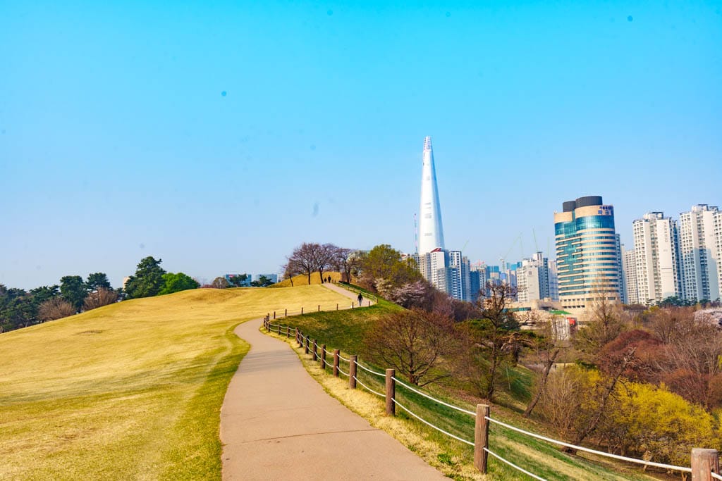 서울 올림픽공원 벚꽃을 보다 24 서울 올림픽공원 벚꽃을 보다 21