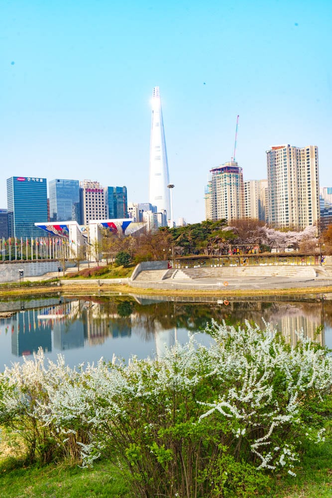 서울 올림픽공원 벚꽃을 보다 11 서울 올림픽공원 벚꽃을 보다 8