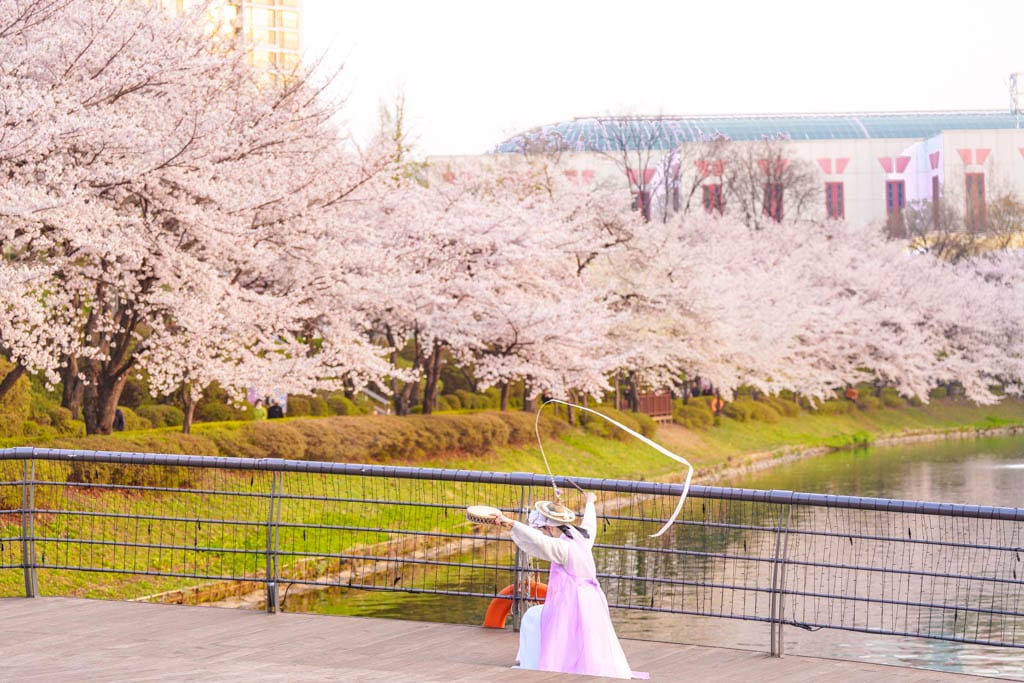 서울 벚꽃 명소, 서울 석촌호수 벚꽃 풍경을 담아보다 39 서울 벚꽃 명소, 서울 석촌호수 벚꽃 풍경을 담아보다 34