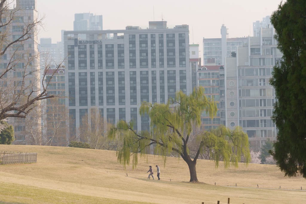 서울 올림픽공원 벚꽃을 보다 20 서울 올림픽공원 벚꽃을 보다 17