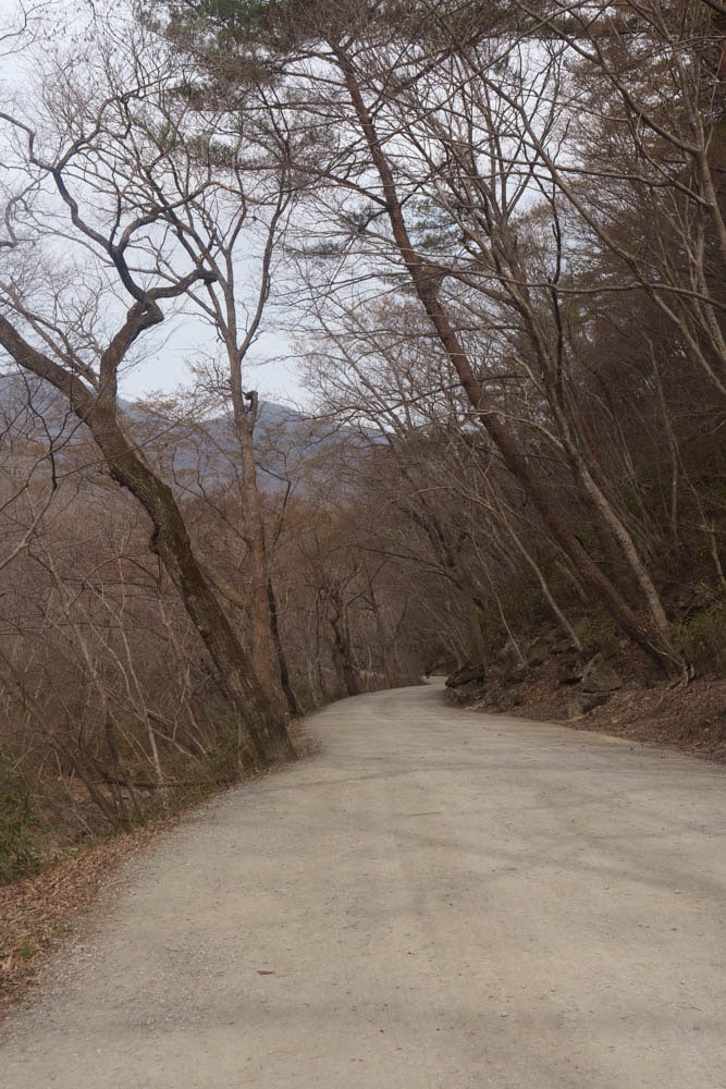 탐매 여행 네번째, 순천 선암사 선암매를 보다 45