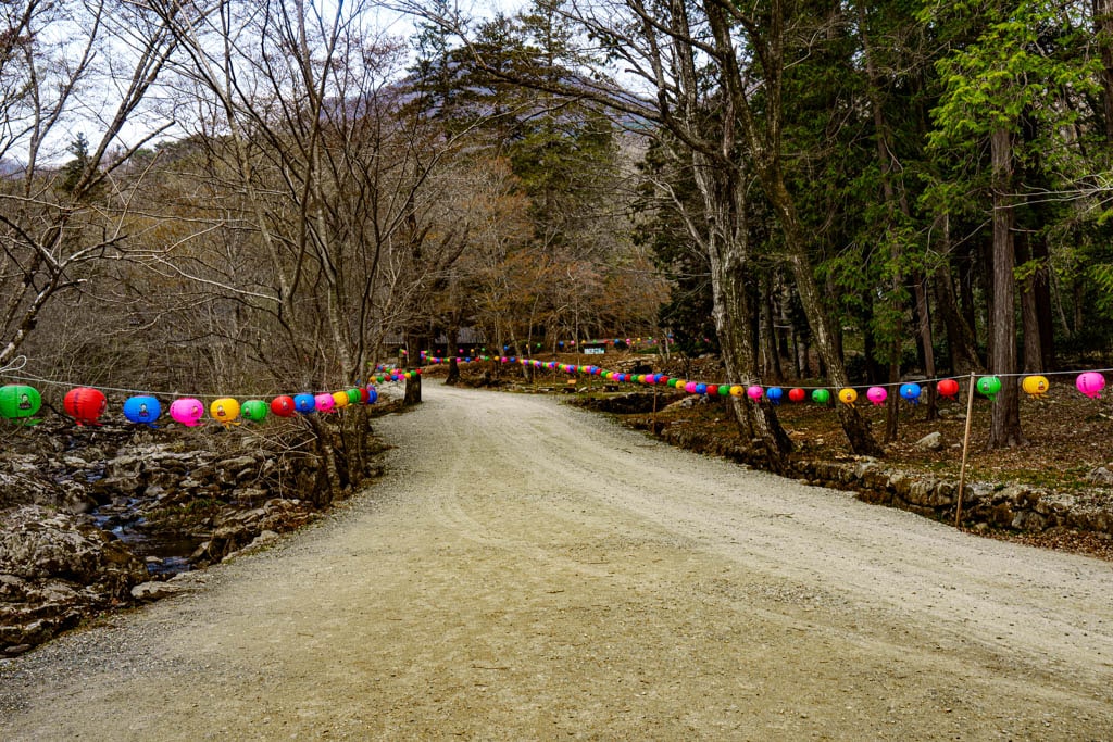 탐매 여행 네번째, 순천 선암사 선암매를 보다 50