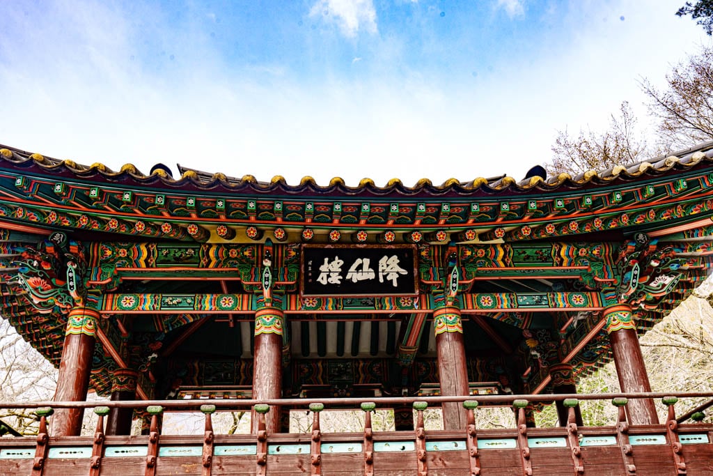 탐매 여행 네번째, 순천 선암사 선암매를 보다 49