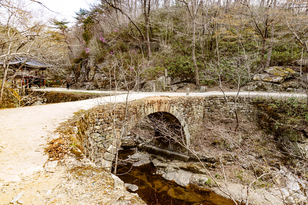 탐매 여행 네번째, 순천 선암사 선암매를 보다 47