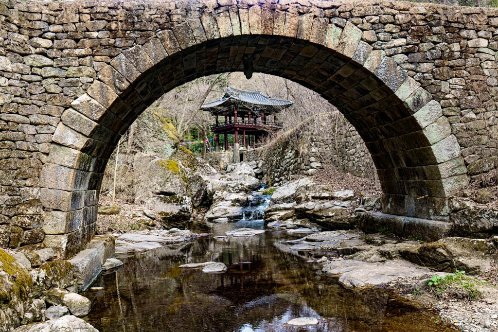 탐매 여행 네번째, 순천 선암사 선암매를 보다 46