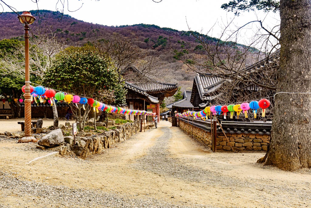 탐매 여행 네번째, 순천 선암사 선암매를 보다 82