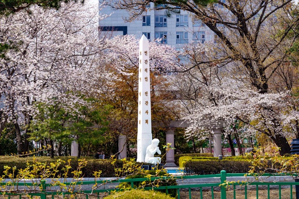 수원 경희대 국제캠퍼스 봄 풍경 13