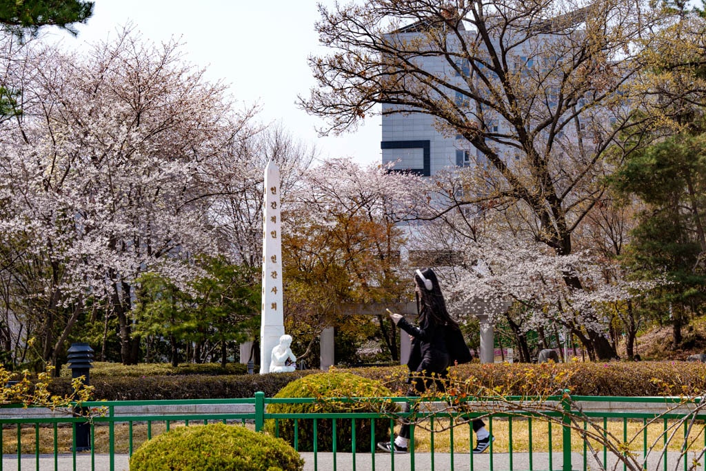 수원 경희대 국제캠퍼스 봄 풍경 12
