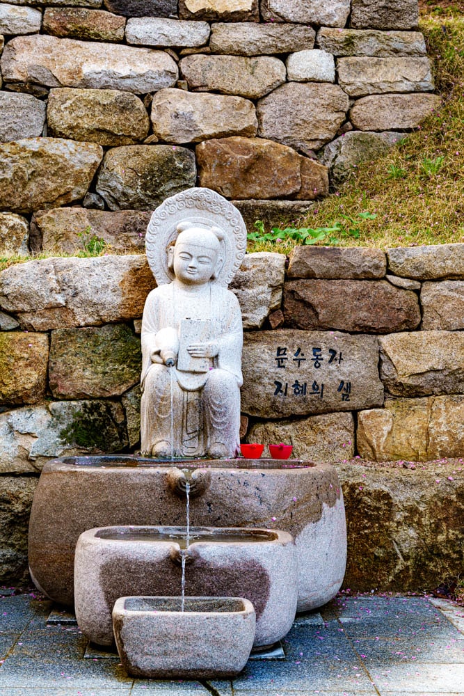 겹벚꽃명소, 서산 문수사 겹벚꽃 출사기 9