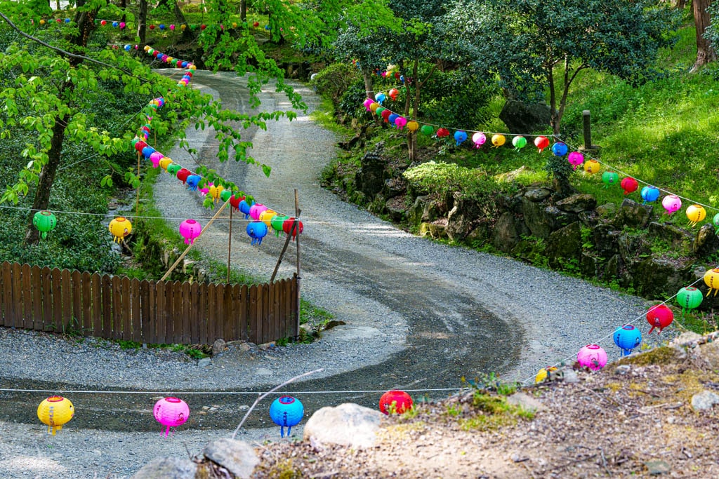 겹벚꽃 명소, 순천 선암사 겹벚꽃을 보다 15