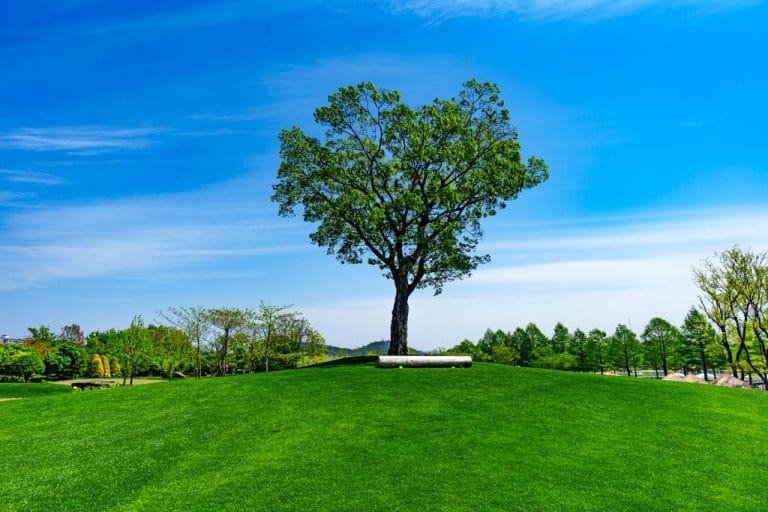 순천만국가정원 풍경, DSC00036-, Photo by Happist