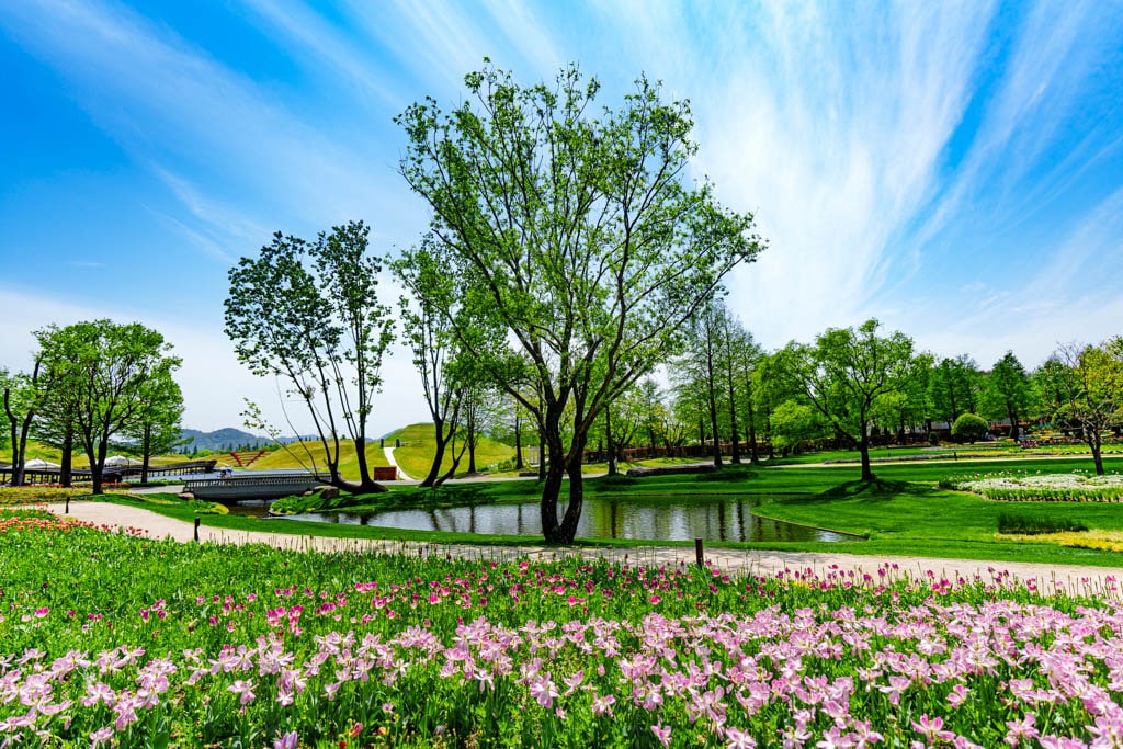 순천만정원을 다녀오다, 여유와 비전의 위대함을 느끼며 22