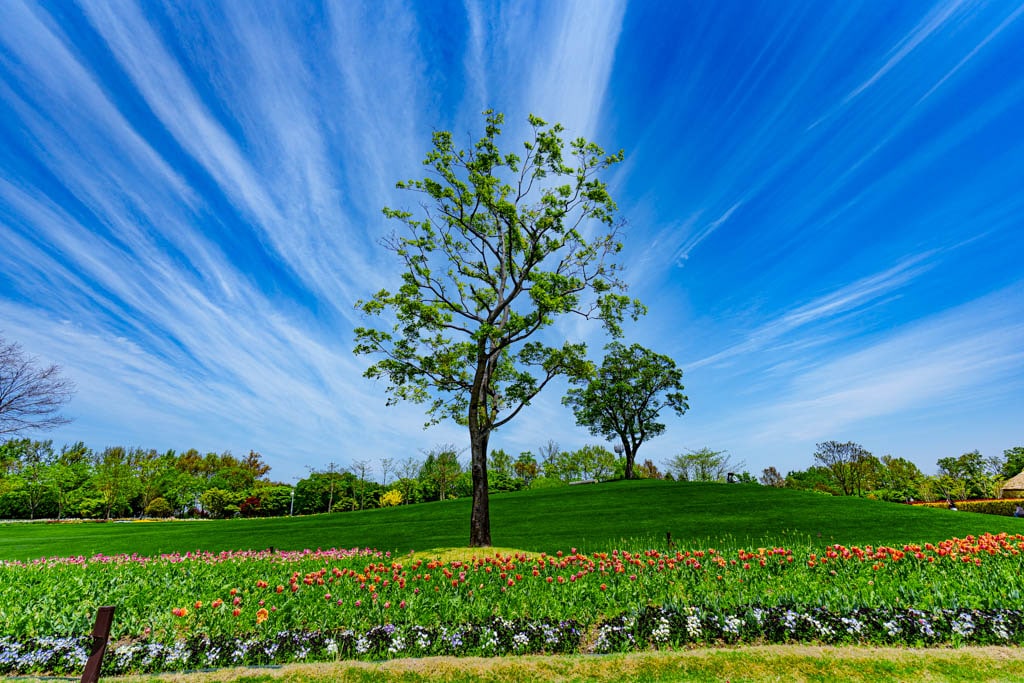 순천만정원을 다녀오다, 여유와 비전의 위대함을 느끼며 21