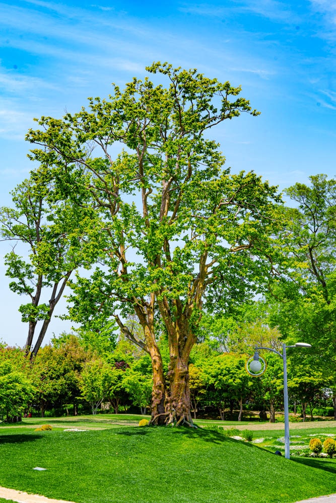 순천만정원을 다녀오다, 여유와 비전의 위대함을 느끼며 27