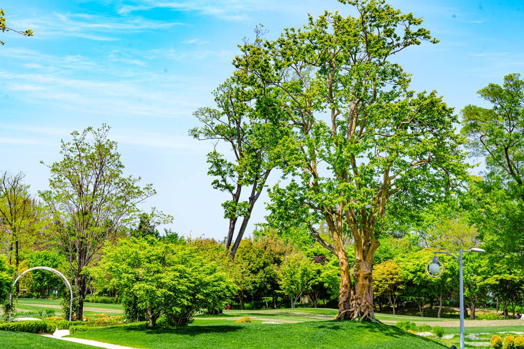 순천만정원을 다녀오다, 여유와 비전의 위대함을 느끼며 28