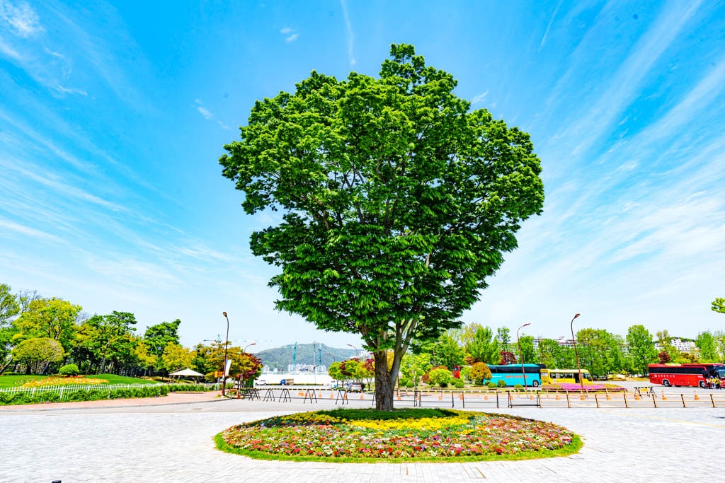 순천만정원을 다녀오다, 여유와 비전의 위대함을 느끼며 7