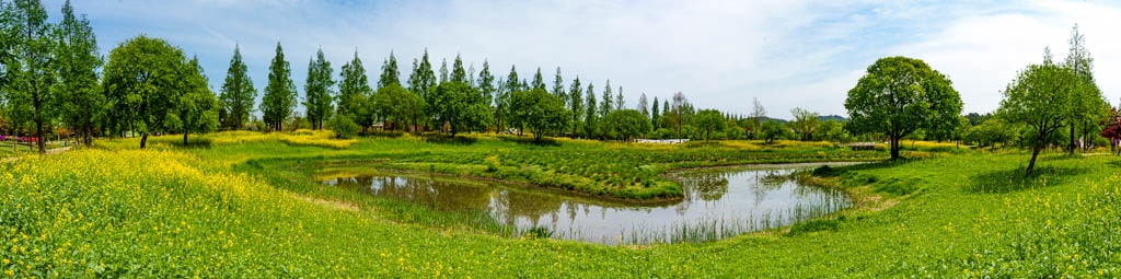 순천만정원을 다녀오다, 여유와 비전의 위대함을 느끼며 13