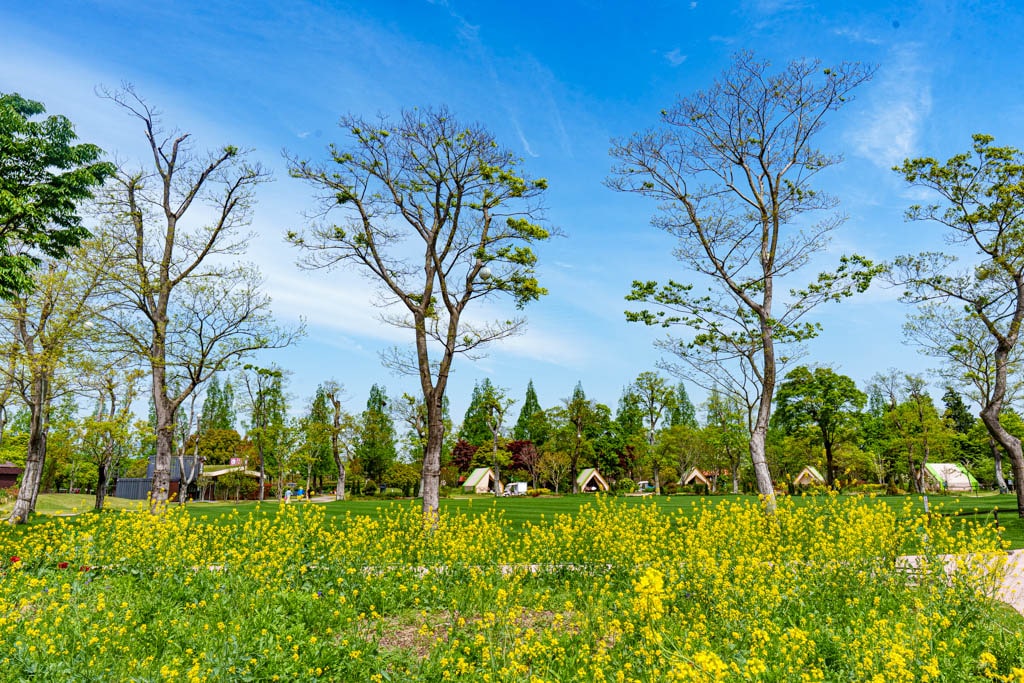 순천만정원을 다녀오다, 여유와 비전의 위대함을 느끼며 14