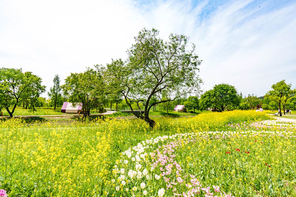 순천만정원을 다녀오다, 여유와 비전의 위대함을 느끼며 12