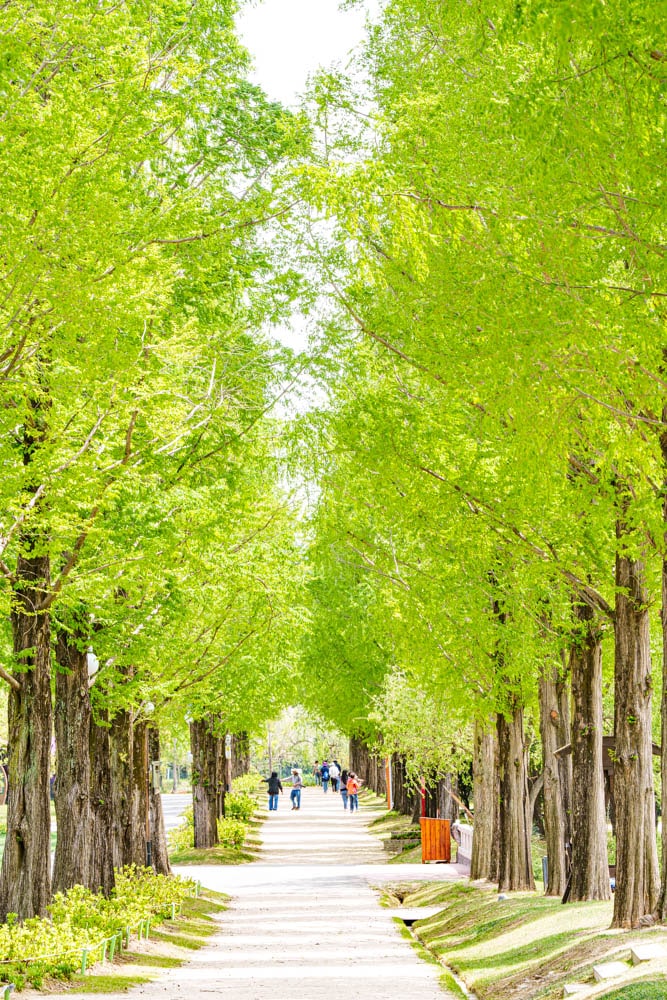 순천만정원을 다녀오다, 여유와 비전의 위대함을 느끼며 16