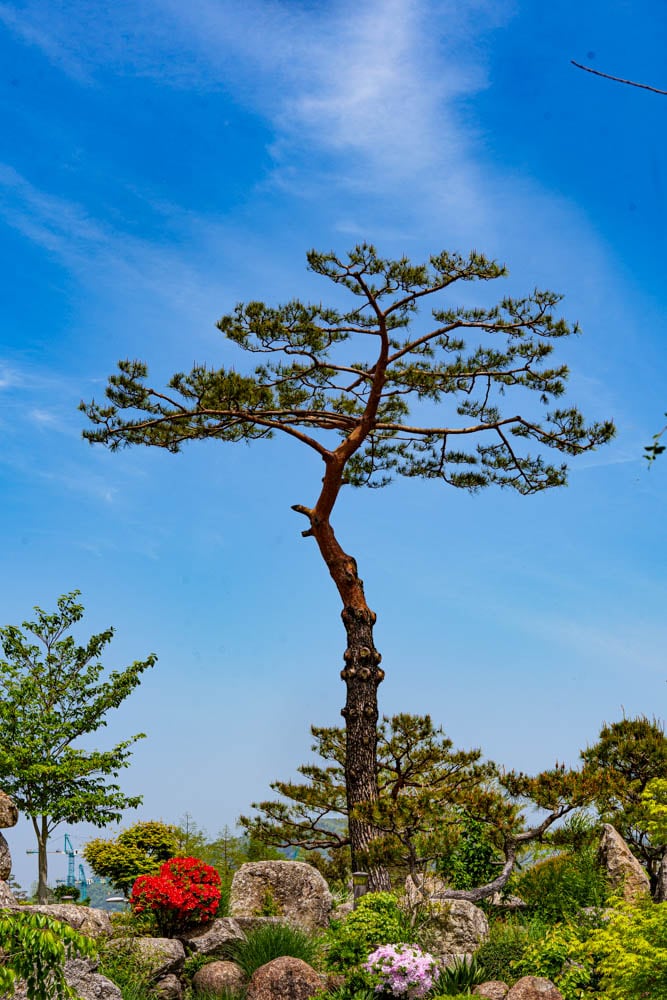 순천만정원을 다녀오다, 여유와 비전의 위대함을 느끼며 23