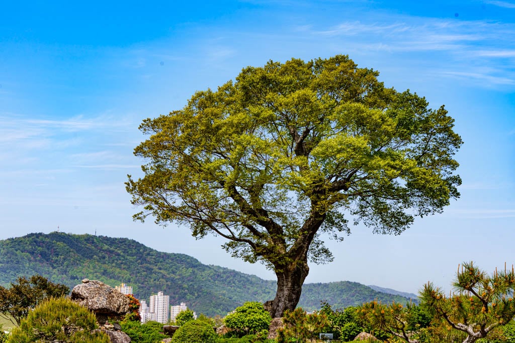 순천만정원을 다녀오다, 여유와 비전의 위대함을 느끼며 17