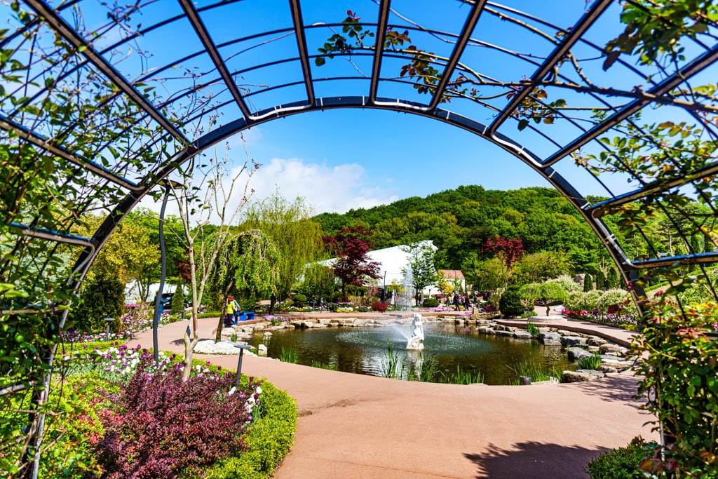 용인자작나무숲 봄꽃축제와 쿰 오케스트라 연주회 24